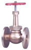 Gun Metal Steam Valve